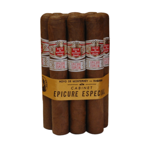 Hoyo-De-Monterrey-Epicure-Especiales-10-cigars-1.png