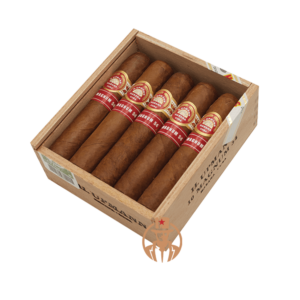 hupmann-magnum-54-box-10-cigar-open.png