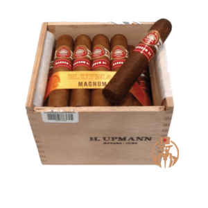 hupmann-magnum-54-cabinet-25-cigar-open.png