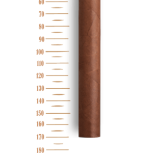 partagas-8-9-8-single-cigar-size.png