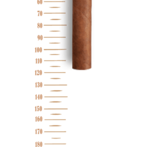 romeo-regalias-de-londres-cigar-size.png